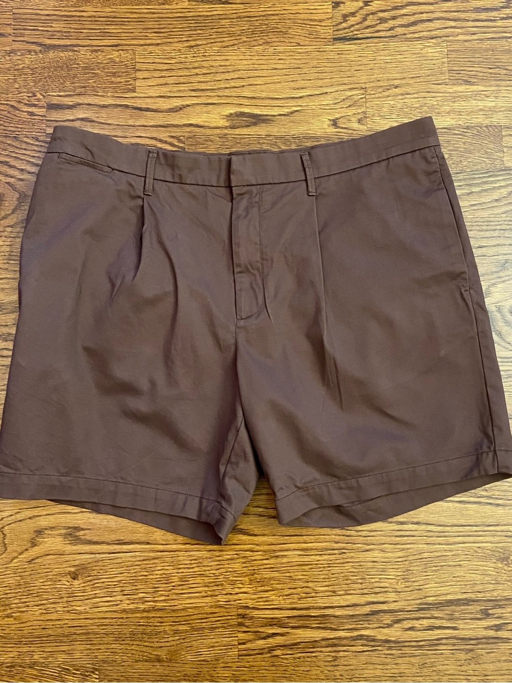 Goodfellow and Co. Men’s Brown Pleated Shorts, Size 38, Summer, Fall, Casual